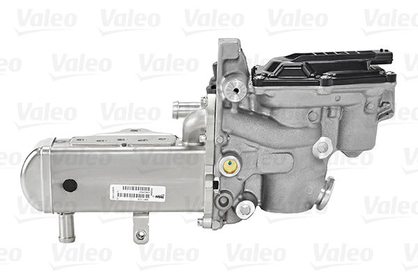 AGR-Modul Valeo 700447 von Valeo