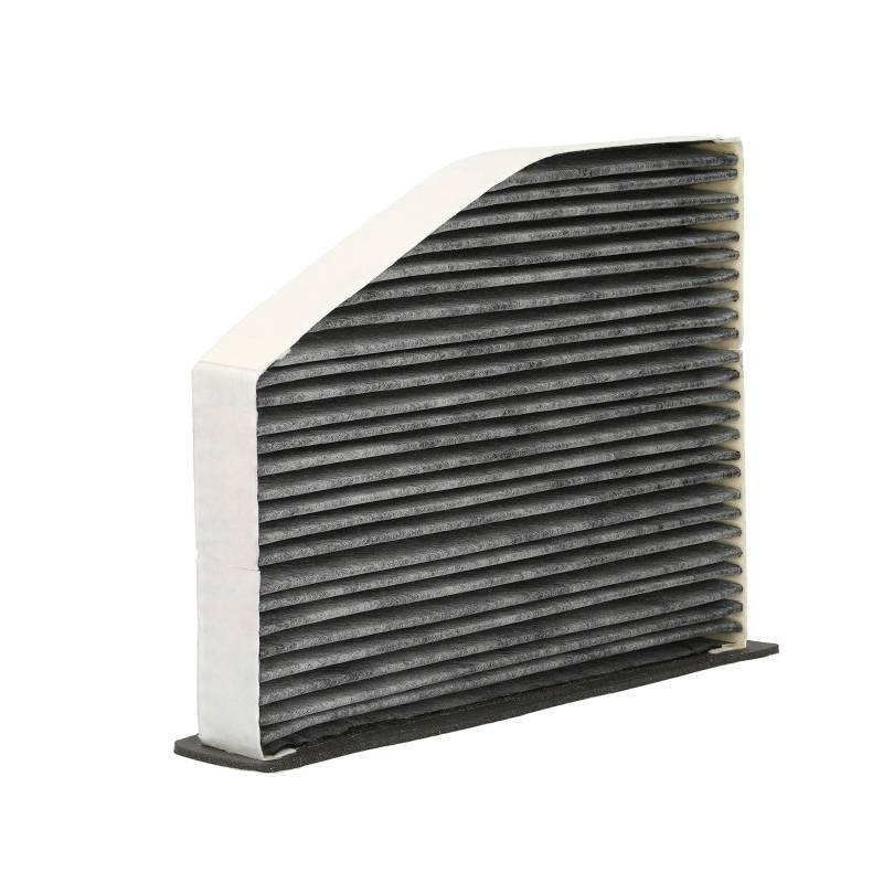 VALEO 698710 Filter, Innenraumluft PROTECT Pollenfilter mit Aktivkohle Schutz vor Pollen, Staub, Bakterien, Gasen und unangenehmen Gerüchen von Valeo