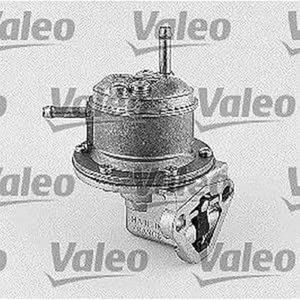 Valeo 247020 Kraftstoffpumpe von Valeo