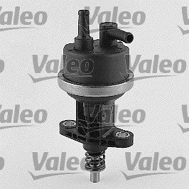 Valeo 247151 Kraftstoffpumpe von Valeo