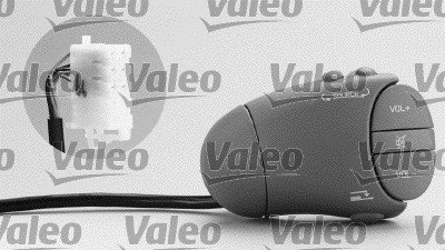 Valeo 251466 Schalterprogramm-Lenksäule von Valeo