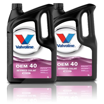 Valvoline 2x 5 L OEM ADVANCED AFC 40 (G12++) von Valvoline