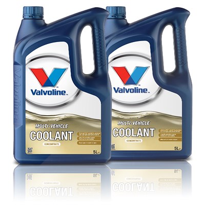 Valvoline 2x 5 L MULTIVEHICLE COOLANT (G11,G12,G12+,G12++,G13) von Valvoline