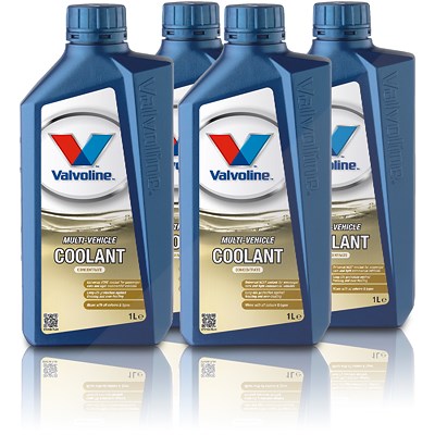 Valvoline 4x 1 L MULTIVEHICLE COOLANT (G11,G12,G12+,G12++,G13) von Valvoline