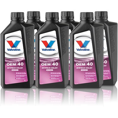 Valvoline 6x 1 L Kühlmittel HT-12 AFC PINK (G12 EVO) von Valvoline