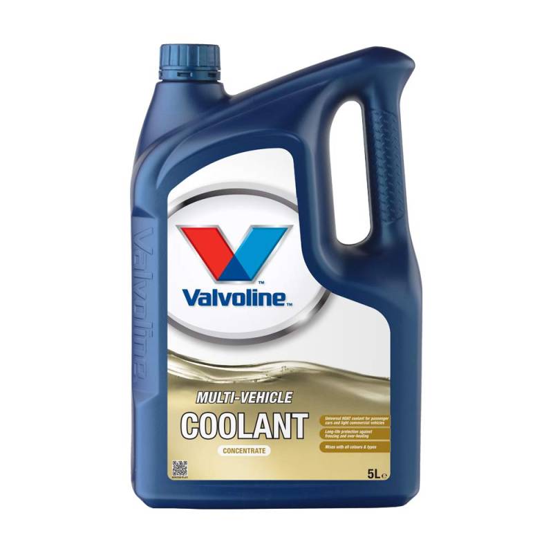 Valvoline Kühlerfrostschutz 5Liter MULTIVEHICLE COOLANT (G11, G12, G12+, G12++, G13) von Valvoline