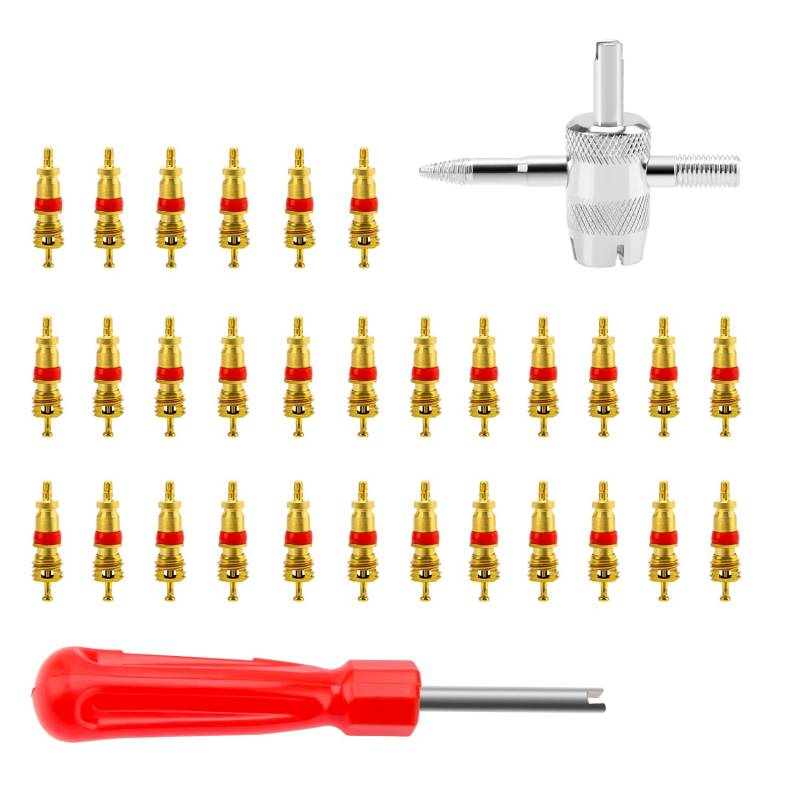 VooGenzek 32 Stücke Reifenventilentferner Ausdreher, Einzelkopf / 4-Wege Ventil Entferner, Ventilkerne aus Reinem Kupfer, für Auto, Motorrad, Fahrrad von VooGenzek