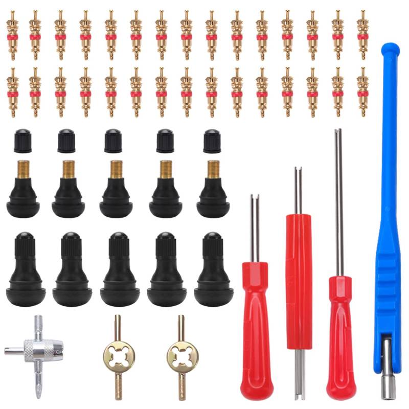VooGenzek 47 Stücke TR412 Reifen Ventilschaft Einziehwerkzeug, Ventilkerne, Ventilkernschlüssel, mit TR412 Snap-in Gummi Reifen Ventile, Doppel & Einzelkopf Ventil Entferner, für Auto, Motorrad von VooGenzek