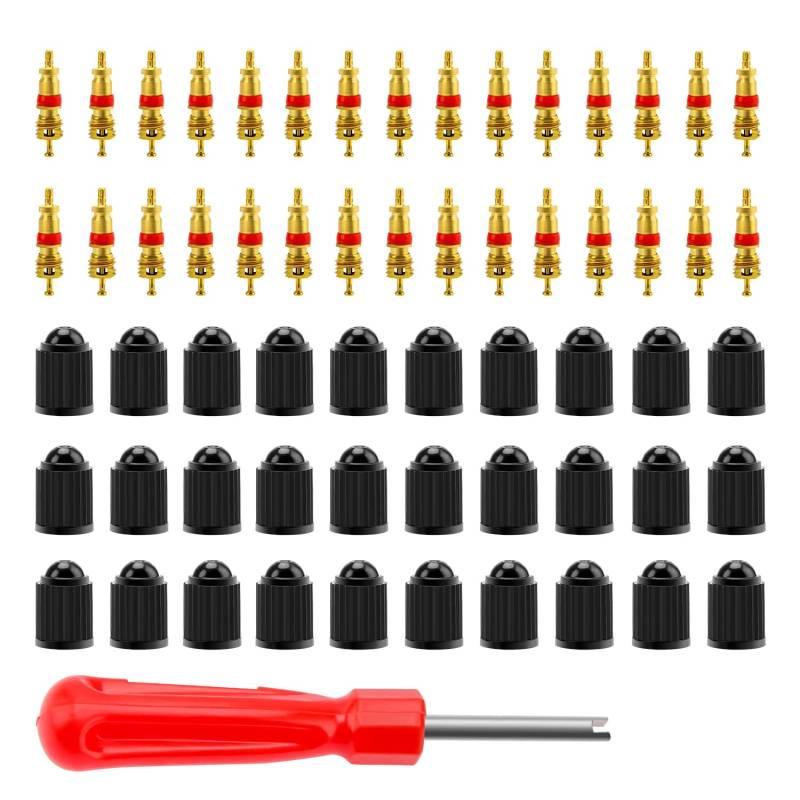 61 Stücke Reifenventilentferner Ausdreher, VooGenzek mit Einzelkopf/Ventil Entferner, Ventilkerne aus Reinem Kupfer, Kunststoff Ventilkappe, für Auto, Motorrad, Fahrrad von VooGenzek