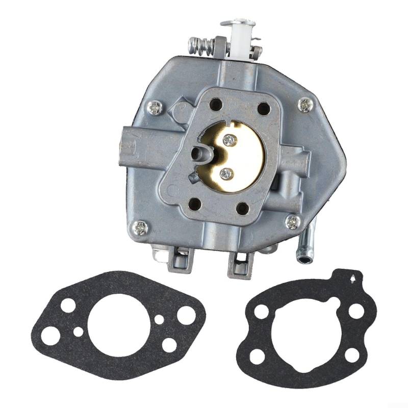 Vergaser und Dichtung für Vanguard-Motoren 16 PS 17 PS 18 PS, kompatibel mit Modellen 350447, 356447, 846109, 809017, 808370 von Vootnifig