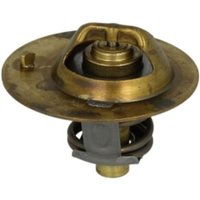 Thermostat, Kühlmittel WAHLER 3119.88 von Wahler