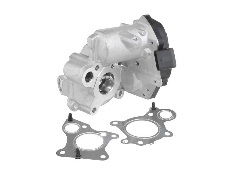 BorgWarner (Wahler) AGR-Ventil 712019D von BorgWarner (Wahler)