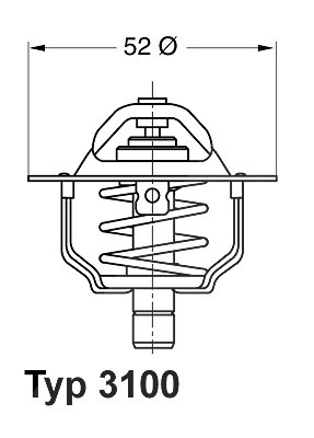 Wahler Thermostat, Kühlmittel [Hersteller-Nr. 3100.92D] für Ford Usa von WAHLER