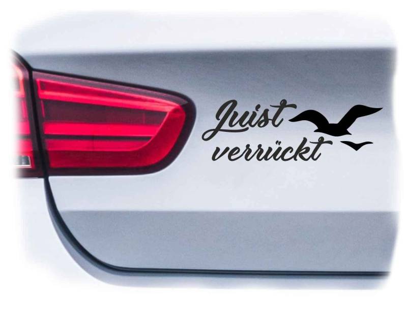 WB wohn trends Auto-Aufkleber, Juist verrückt, schwarz, 22cm breit, Farbe und Größe wählbar, KFZ-Sticker LKW Spruch von WB wohn trends