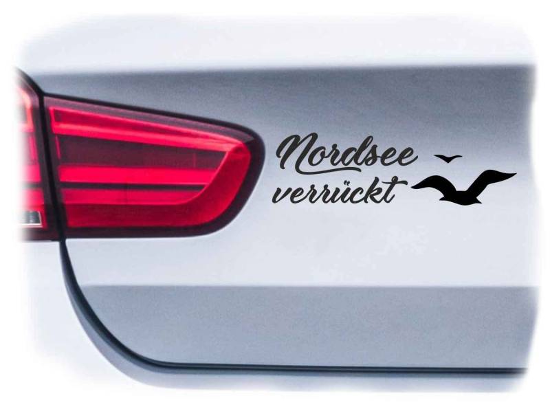 WB wohn trends Auto-Aufkleber, Nordsee verrückt, Silber, 15cm breit, KFZ-Sticker LKW Spruch von WB wohn trends