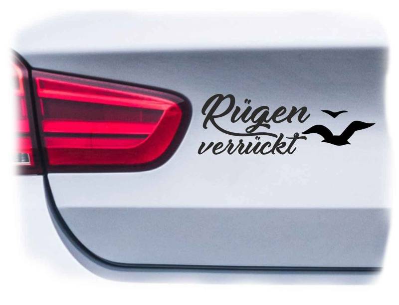 WB wohn trends Auto-Aufkleber, Rügen verrückt, Silber, 22cm breit, Farbe und Größe wählbar, KFZ-Sticker LKW Spruch von WB wohn trends