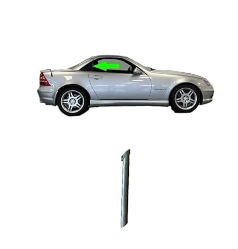 Abdichtung Dichtungsrahmen Fondfenster Beifahrerseite rechts passend für Mercedes R170 SLK A1706700239 von WDB-TEILE