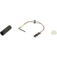 Flammsensor, Standheizung WEBASTO 9005096A von Webasto