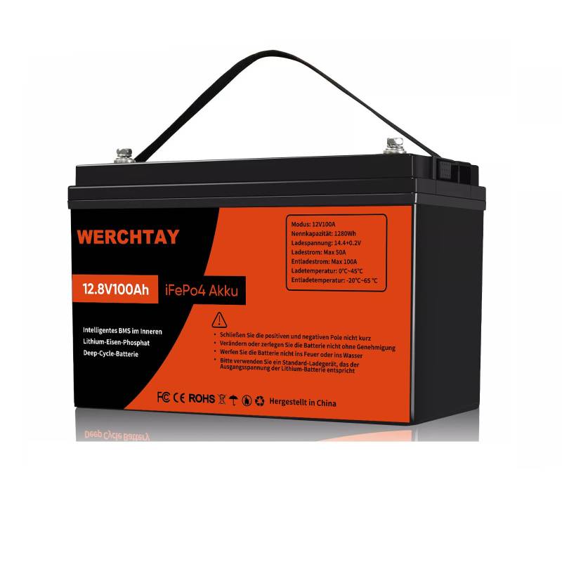 1Stück LiFePO4 100Ah 12V Batterie mit BMS Low Temperature Schutz und 15000 Zyklen, Lithium Batterie 12,8V 100Ah für mehr als 10 Jahre Geeignet für Wohnmobilen, Golfwagen,Haushalt, Solarpanel Kit von WERCHTAY