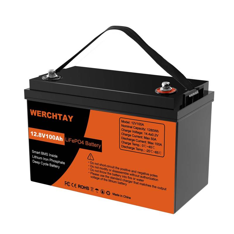 3Stück LiFePO4 100Ah 12V Batterie mit BMS Low Temperature Schutz und 15000 Zyklen, Lithium Batterie 12,8V 100Ah für mehr als 10 Jahre Geeignet für Wohnmobilen, Golfwagen,Haushalt, Solarpanel Kit von WERCHTAY