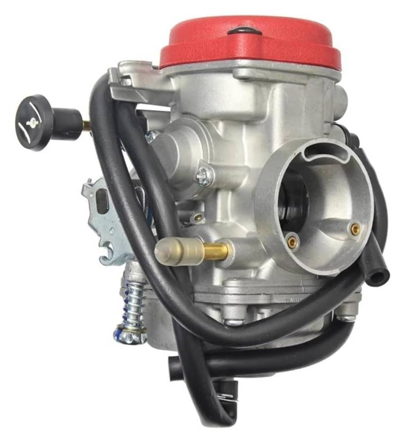 Vergasermotor Für EN250 Für JS250 Für QM250GY Für GXT250 Für GP200 Für GP250 250cc PD30 30mm Motorrad Vergaser von WERKFNKBNH