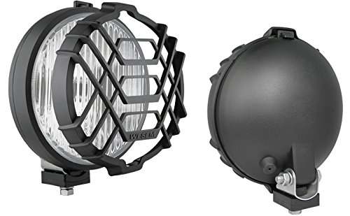 Nebelscheinwerfer mit Schutzgitter von WESEM