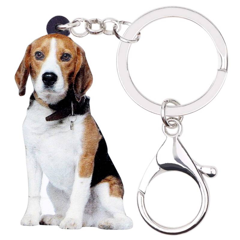 WEVENI Acryl niedlich Beagle Hund Schlüsselanhänger Zubehör für Frauen Mädchen Tasche Auto Charms (Mehrfarbig) von WEVENI