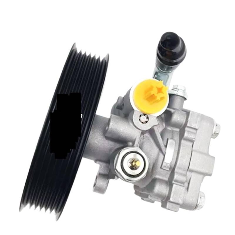 Kompatibel Mit Suzuki Grand Vitara 2.4L L4 (2009-2013) Servolenkungspumpe - OEM-Ersatz 49100-78K00 von WGDBCN