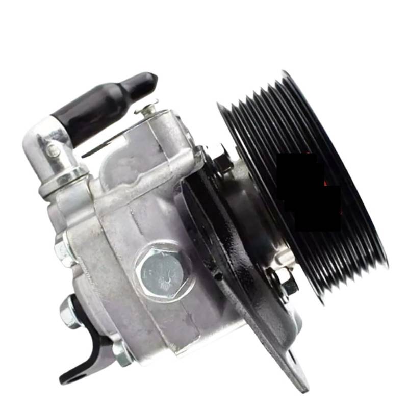 Kompatibel mit Range Rover Sport. (2005–2013) Hydraulische Servolenkungspumpe – 3,6 l Diesel-Ersatz LR009775 QVB500640 7H323A696AB GL2110 von WGDBCN