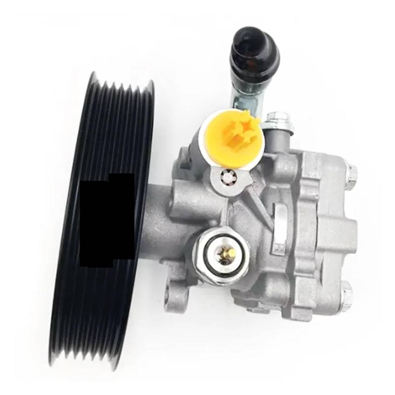 OEM-Ersatz For Servolenkungspumpe, Kompatibel Mit Suzuki Grand Vitara. 2.4 4 49110-78K00, 49100-78K00, 49100-50J40 von WGDBCN