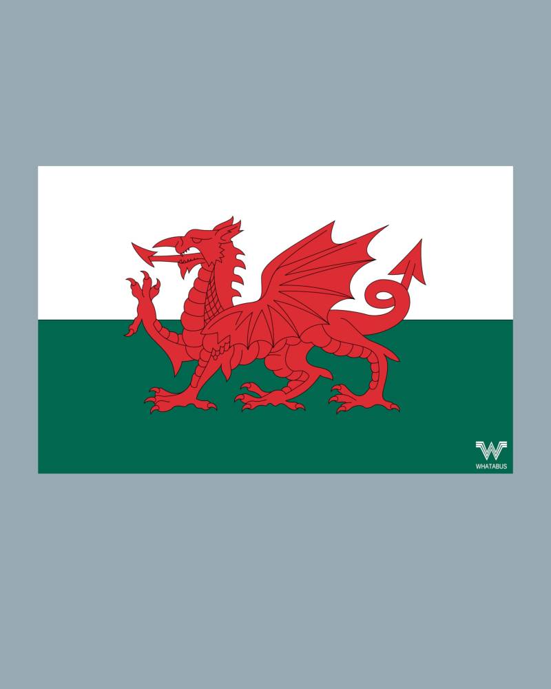 WHATABUS Wales Flagge Aufkleber - Länderflagge als Sticker 8,5 x 5,5 cm WF211 von WHATABUS