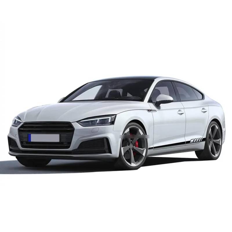 2 Stück Rennsport Autotür Seitenstreifen Rock Aufkleber Vinyl Aufkleber, für A=UDI A3 A4 A5 A6 A7 Q2 Q3 Q5 RS3 RS4 RS5 TT Zubehör von WJSXEQF