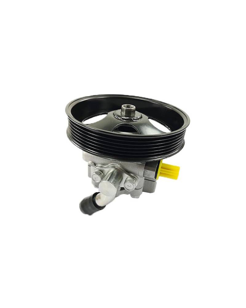 Servolenkungspumpe Für Peugeot 405 306 Lenkgetriebe Druckerhöhungspumpe 4007 86 Power Assist Pump von WNCXSA