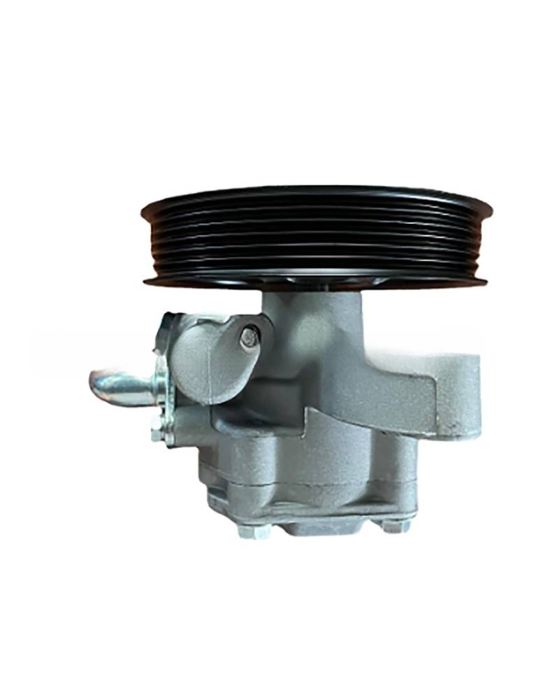 Servolenkungspumpe Für Suzuki 49100-78J21 Für Enclave Hydraulische Lenkung Pumpe 25964298 Power Assist Pump von WNCXSA