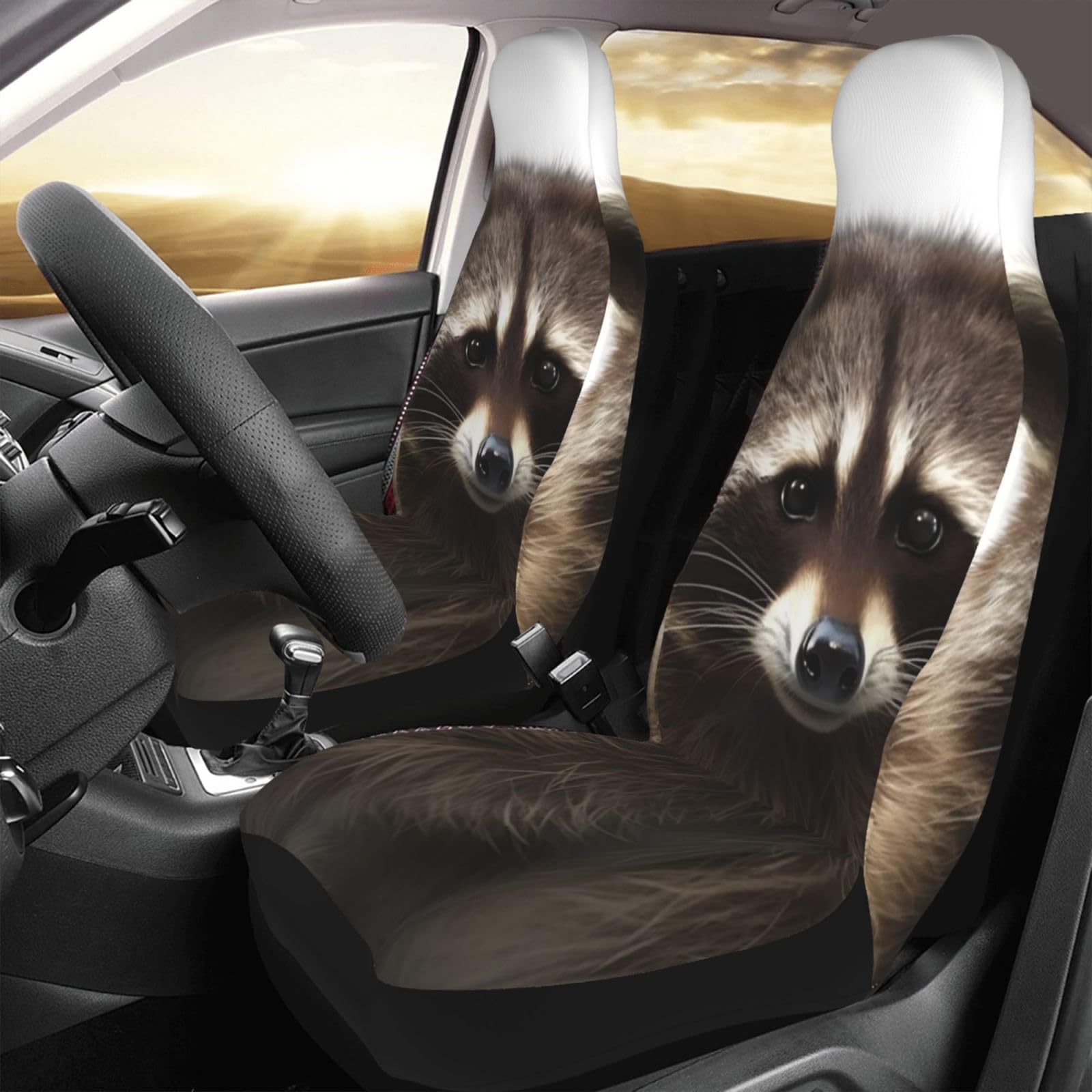 WSOIHFEC Hairy Raccoon Autositzbezüge-Set, Vordersitzbezug für Autos, waschbar und atmungsaktiv, Autositzbezüge, universeller Autositzbezug, 2 Stück von WSOIHFEC