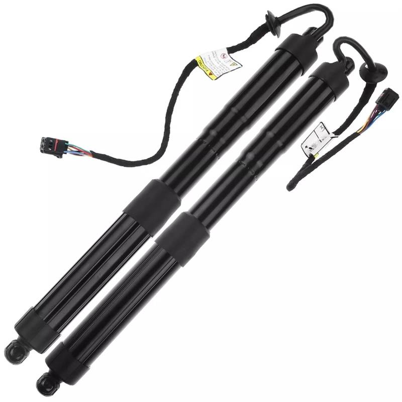 Kofferraumdämpfer Für Hyundai Für Santa Fe Sport 2015-2018 Stamm Strut Shock Unterstützung 81780-2W600 Heckklappe Power Hatch Lift Unterstützt Elektrische Gasfeder(Links und rechts) von WTXXGQ