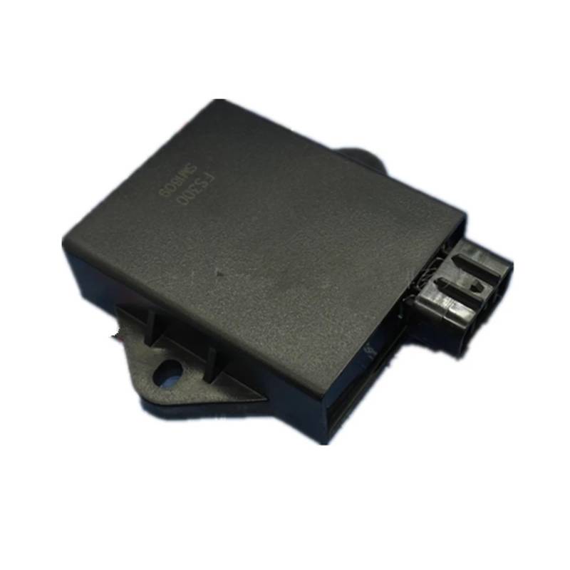 WXSSH Zündspule CDI Motorrad Digitale Elektronische Zündung CDI Box Unit ECU Für FEISHEN FA-D300 H300 Für Linhai 260 300 ATV LH260 LH300 von WXSSH