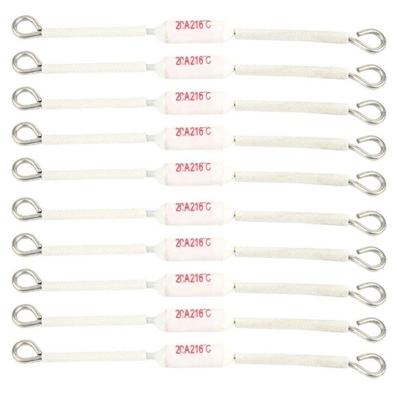 10PCs Thermosicherung, Thermal 216 ℃ Cut-off Keramiksicherung 250V 20A Thermosperren für Geräte(90mm-216 ℃) von Walfront