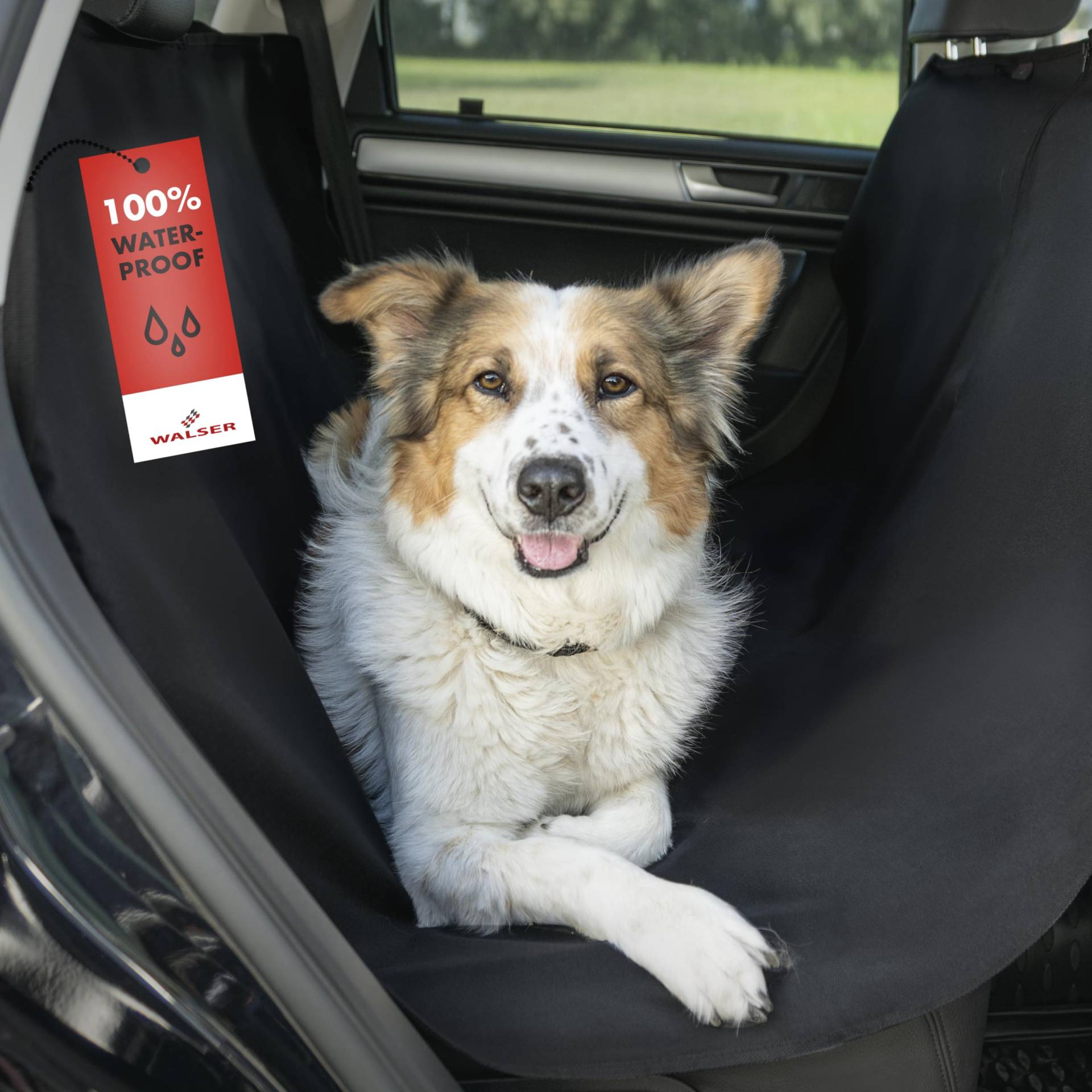 Walser Autoschondecke Hund Rücksitz Nero, Universal Auto Hundedecke Rücksitz, Autoschondecke Hund, Autoschutzdecke für Reise & Transport für Hunde, Automatte Hund, Autoschondecke Hund Kofferraum von Walser