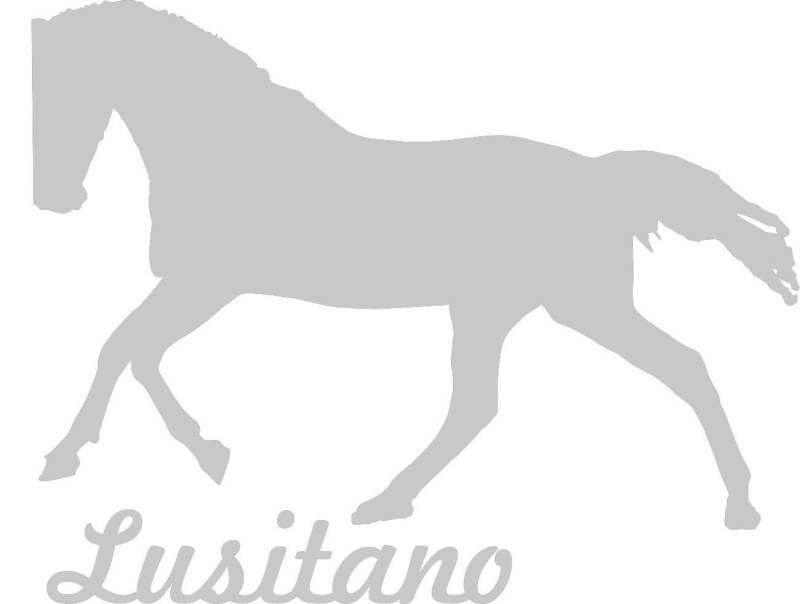 2X Auto Aufkleber LUSITANO Pferd 2X Car Sticker Konturgeschnitten (ca. 11x8 cm) (Silber) von Werbetechnik Sotirios Papoutsis