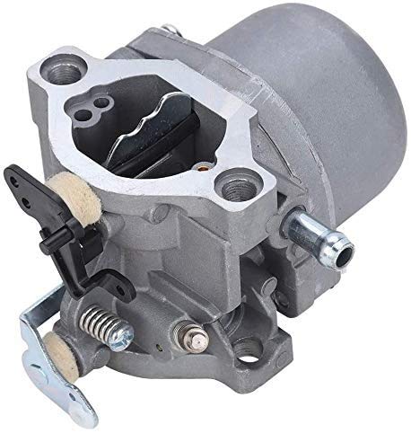 Motor Vergaser passend für Briggs & Stratton 285707, 289707, 28B705, 28M707 von Wifehelper