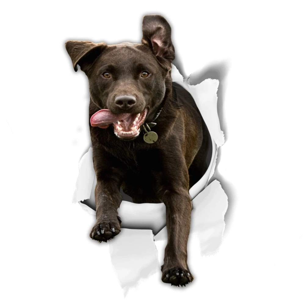 15cm hochwertiger Aufkleber Sticker Decal Autoaufkleber schwarz Labrador Retriever Welpe Hund springt D793 3D-Effekt Rand Silber von WildeBabsKLBT