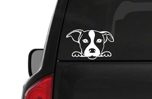 WildeBabsKLBT 15cm Hochwertiger Auto-Aufkleber Sticker Decal Autoaufkleber Aufkleber-Folie Jack Russell Terrier D116 von WildeBabsKLBT