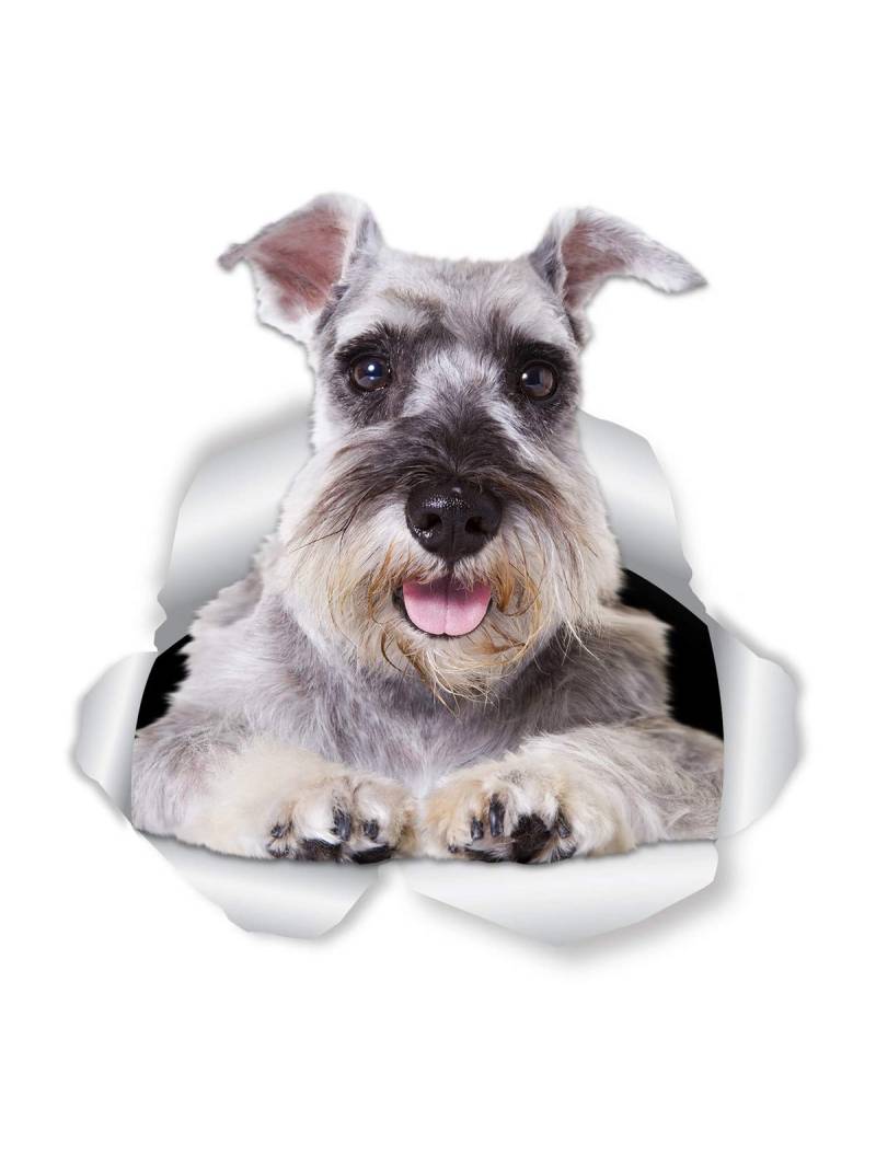 WildeBabsKLBT 15cm hochwertiger Aufkleber Sticker Decal Autoaufkleber Super Riesen-Schnauzer Hund D734 3D-Effekt Rand Silber von WildeBabsKLBT