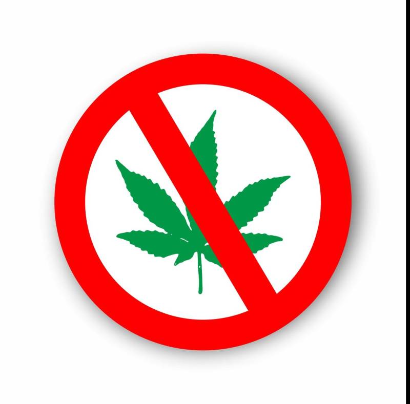 WildeBabsKLBT Aufkleber S798 Cannabis verboten bunt Sticker Decal 30cm Hochwertiger Autoaufkleber Aufkleber-Folie Wetterfest U52 von WildeBabsKLBT