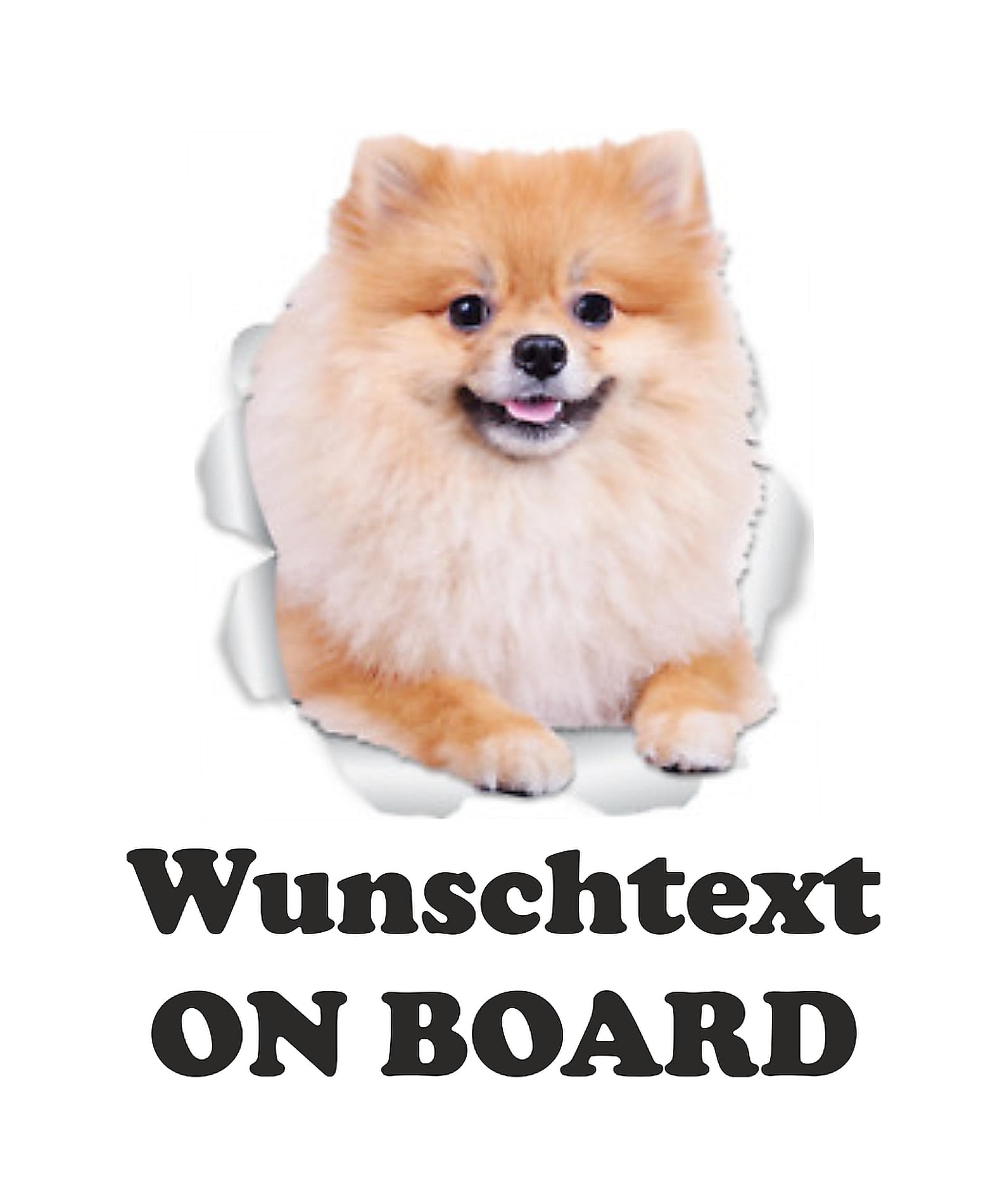 WildeBabsKLBT Autoaufkleber D752 Pomeranian Zwergspitz Hund Welpe On Board An Bord 15cm WUNSCHTEXT Hochwertiger Aufkleber Sticker Decal Namen Buchstaben Schriftzug Spruch von WildeBabsKLBT