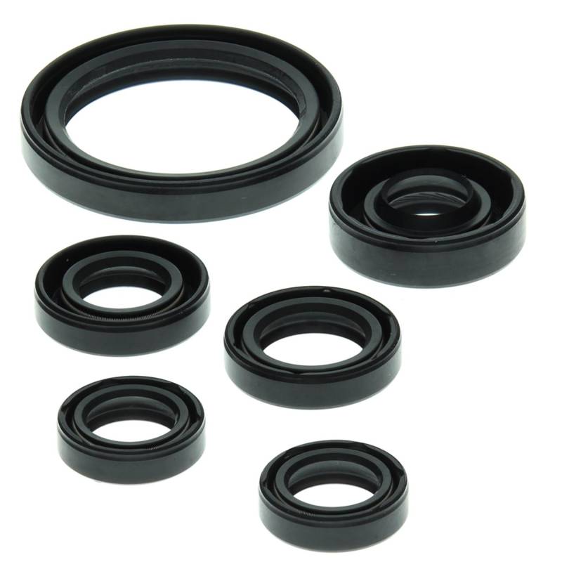 Winderosa 822238 Motor Oil Seal Kit von Winderosa