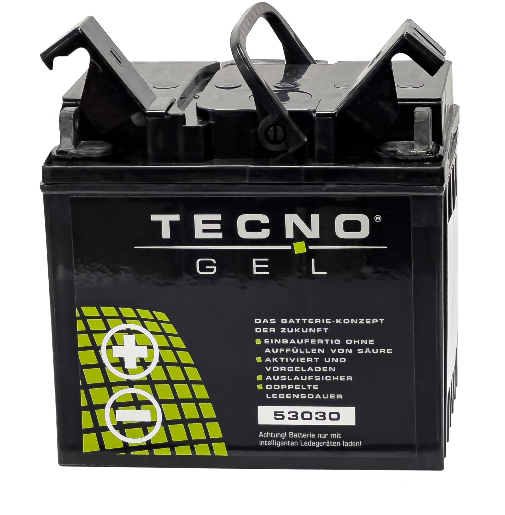 TECNO-GEL Motorrad Qualitäts Batterie 53030 für MOTO GUZZI California 1000 II, III, 1100 ie div., EV 1982-2011, 12V Gel-Batterie 30 Ah, 187x130x170 mm von Wirth-Federn