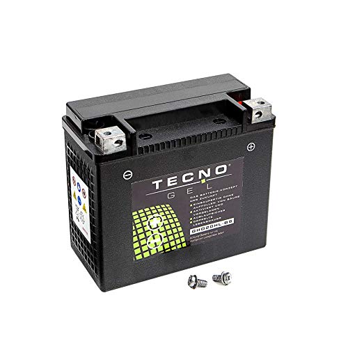 Premium TECNO-GEL Motorrad-Batterie für VTB-6 V-TWIN = East Penn 66010-82B, 12V Gel-Batterie HD20HL 23 Ah, 176x87x153 mm für Harley FLHC, FLHS, FLHR, FLHRI, FLHT, FLHTC, FLHTCU, FLT, FLTC, FLTCU 1340 von Wirth-Federn