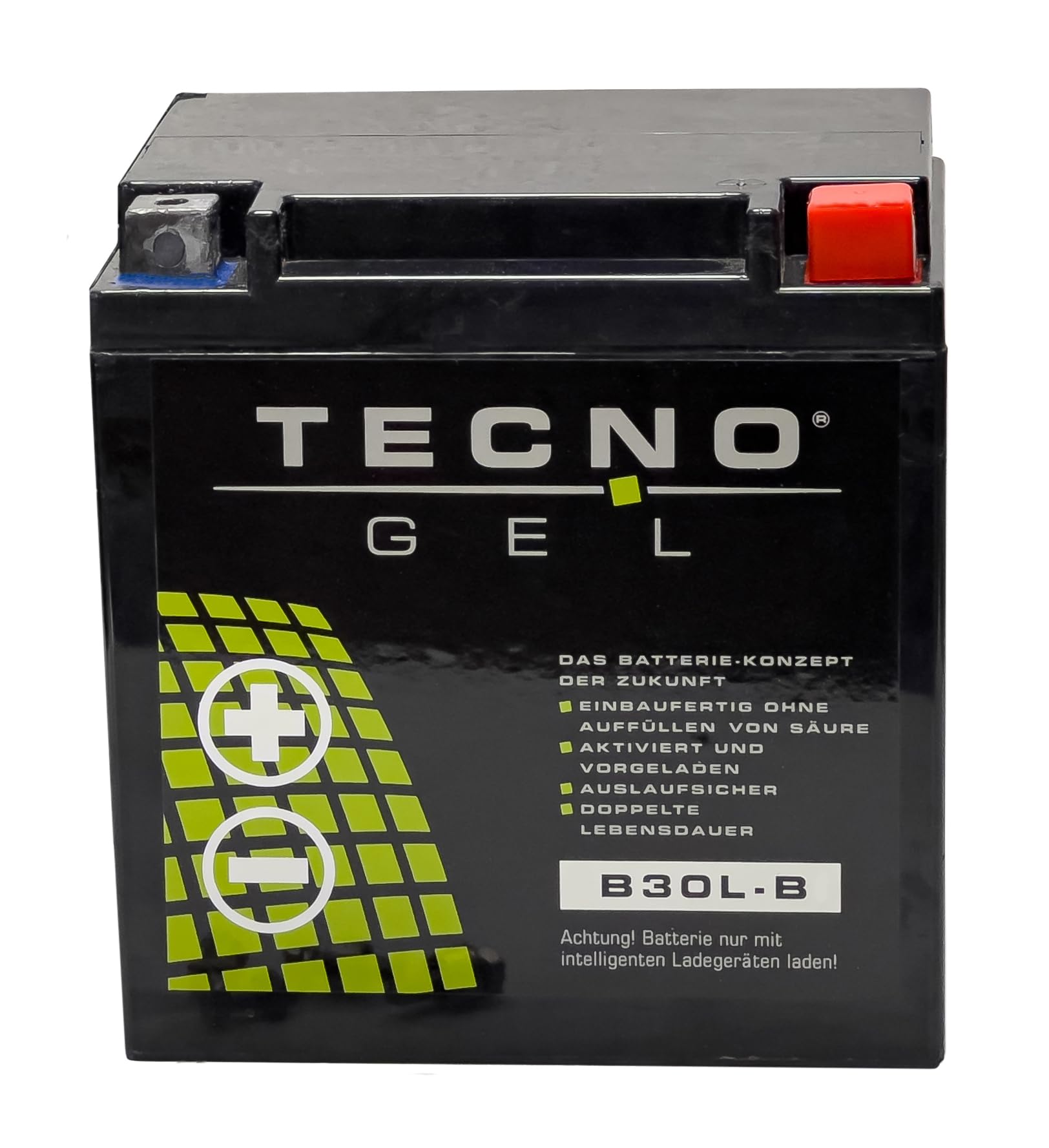 TECNO-GEL QUALITÄTS MOTORRAD BATTERIE für YB30L-B, 12V Gel-Batterie 30Ah, 168x132x176 mm von Wirth-Federn